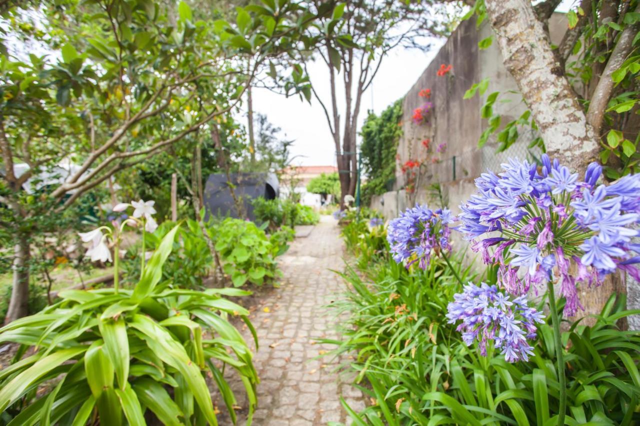 Beautiful Country House&Romantic Garden Синтра Екстериор снимка